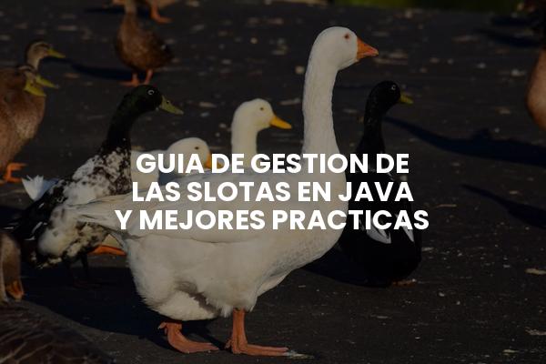 Guia De Gestion De Las Slotas En Java Y Mejores Practicas